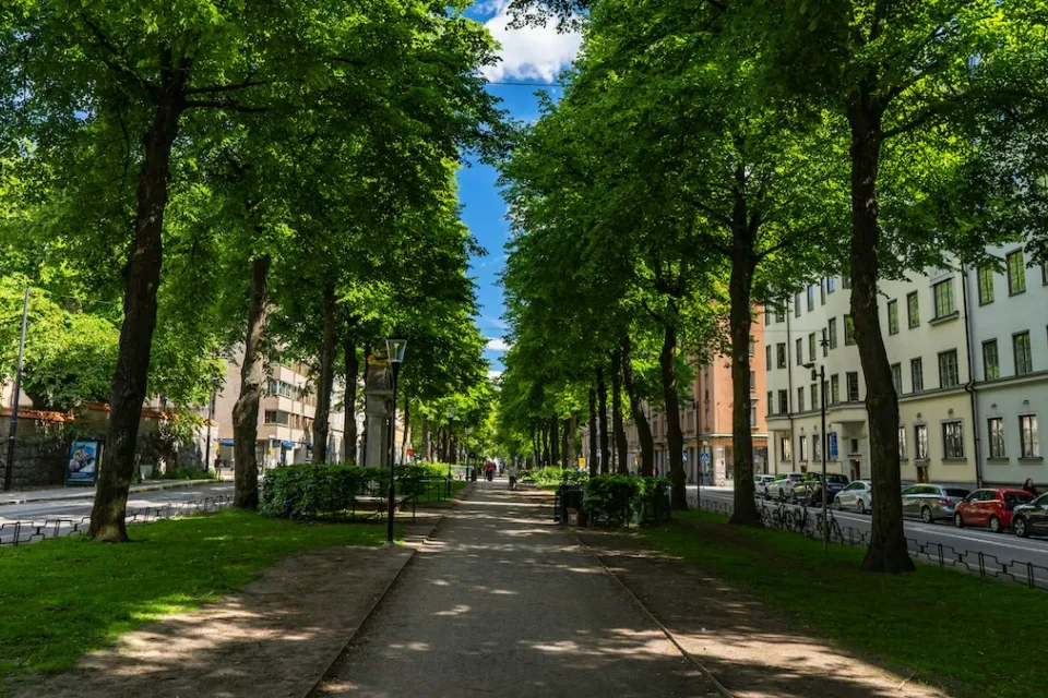 Quiet tree-lined street in Stockholm, Sweden in summer.